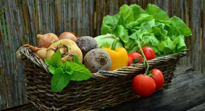 Alimentation biologique